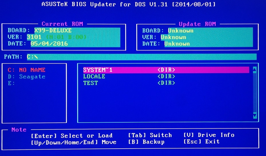 BIOS updating option